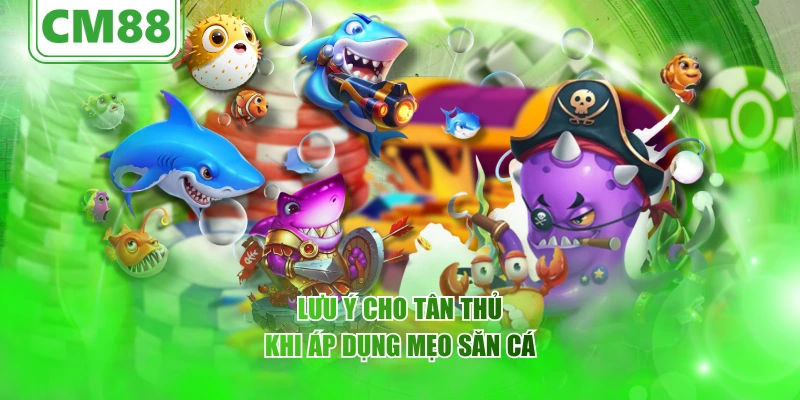 Mẹo chơi bắn cá online – CM88 Góc nhìn tổng quan về trò chơi 6 Lưu ý cho tân thủ khi áp dụng mẹo săn cá