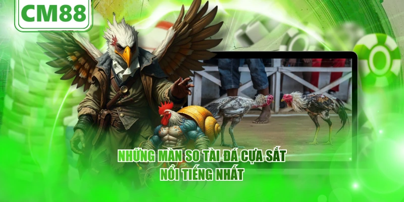 Đá gà cựa sắt – Thông tin từ CM88, nguồn gốc phát triển 6 Những màn so tài đá cựa sắt nổi tiếng nhất
